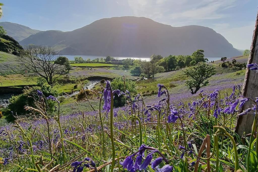 Peaceful Countryside Retreat Near Beach/Lakes Distington エクステリア 写真